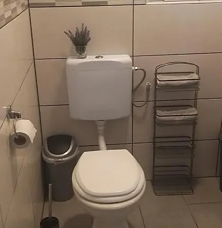 Lägenhet Apartma Matjaz *